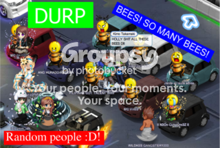 User Image